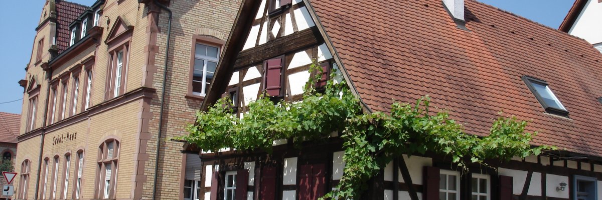 Altes Fachwerkhaus mit Kletterpflanzen in Ottersheim 