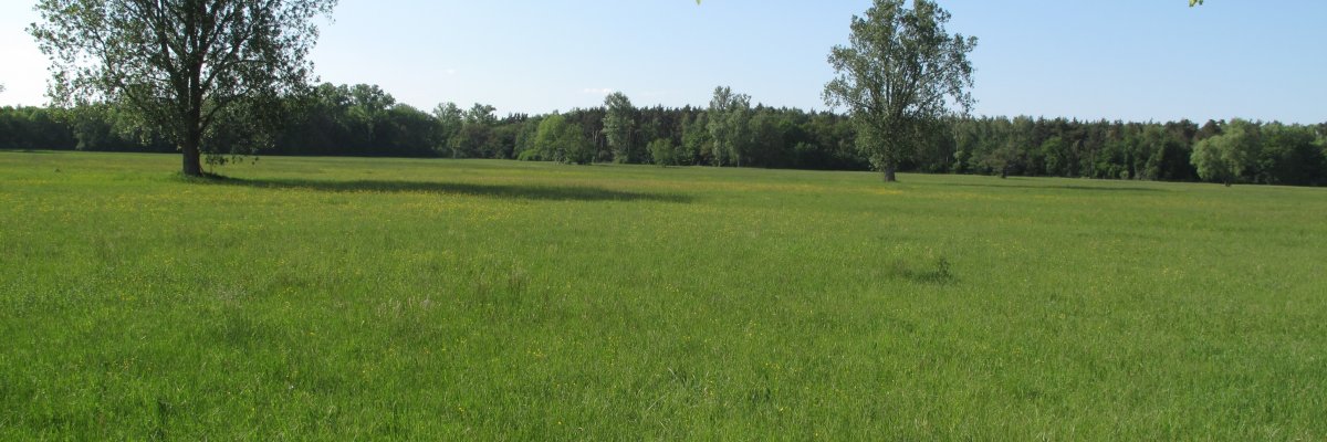 Bild von der Queichebene