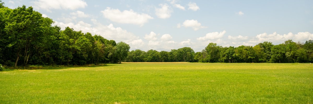 Weite, grüne Wiesenlandschaft am Rand eines Waldes unter blauem Himmel mit lockeren Wolken – typisch für die Queichwiesen in der Südpfalz.