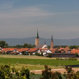 Bellheim im Hintergrund der Haard mit Pfälzer Wald