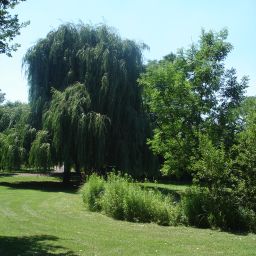 Erholung mitten im Ort im Spiegelbachpark