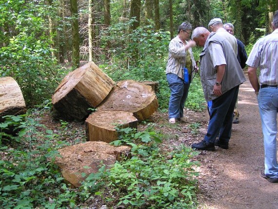 Waldführung