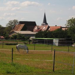 Pferdekoppeln in Ottersheim