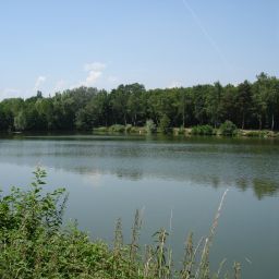 Ottersheimer Bärensee - Ein Paradies für Angler