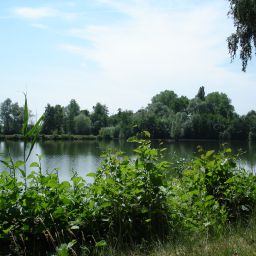 Naherholungsgebiet - Ottersheimer Bärensee