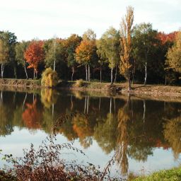 Ottersheimer Bärensee im Herbst