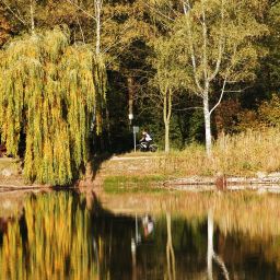 Fahrrad fahren in der Ottersheimer Natur