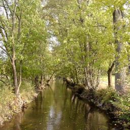 Wald, Wiesen und Bäche begegnen den Wanderern und Radfahrer bei Ottersheim