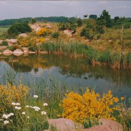 Biotop Zweiersee