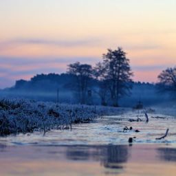 Die Hochwiesen im Winter