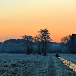 Morgenfrost auf den Hochwiesen 