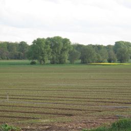 Wald, Wiesen und Felder kennzeichnen die Gegend in der VG Bellheim