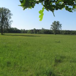 Naherholungsgebiet Bellheimer Wald und Holzwiesen