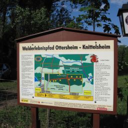 Walderlebnispfad im Bellheimer Wald zwischen Ottersheim und Knittelsheim