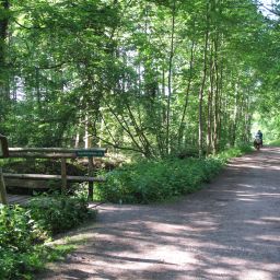 Wald- und Radwege im Bellheimer Wald