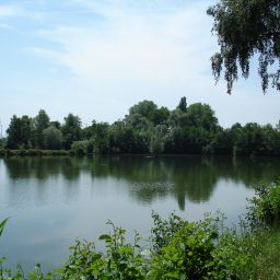 Anglerparadies Ottersheimer Bärensee