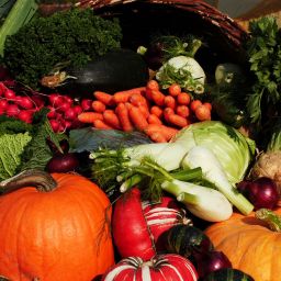 Frisches Obst und Gemüse von den Hofläden und Direktvermarktern in der Verbandsgemeinde Bellheim