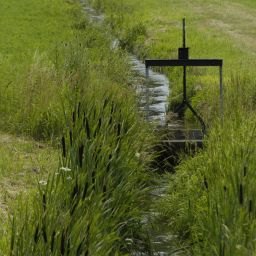 Schleusen in den Holzwiesen