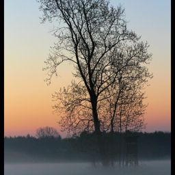 Morgentau auf den Wiesen