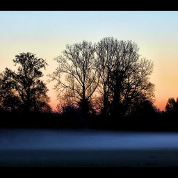 Herbstnebel über den Wiesen