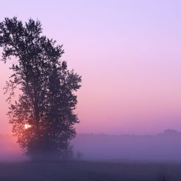 Auch im Herbst zeigt die Natur ihre Reize