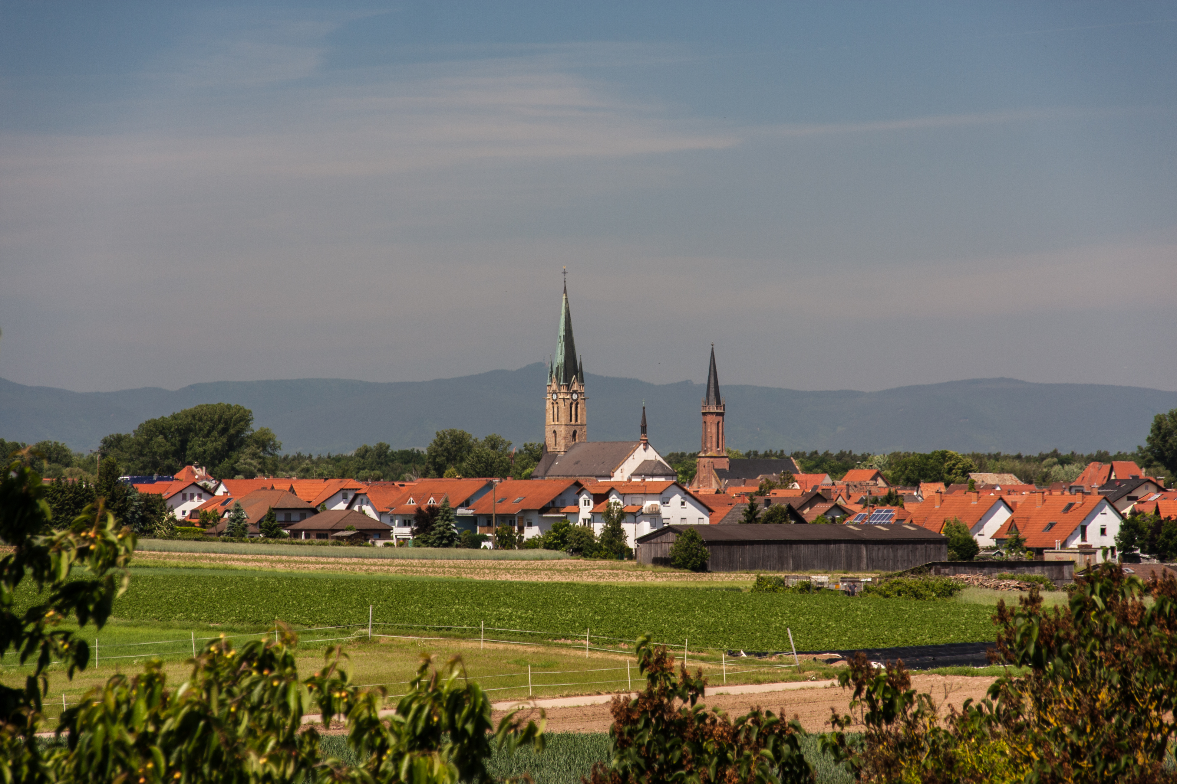 Bellheim im Herzen der Südpfalz
