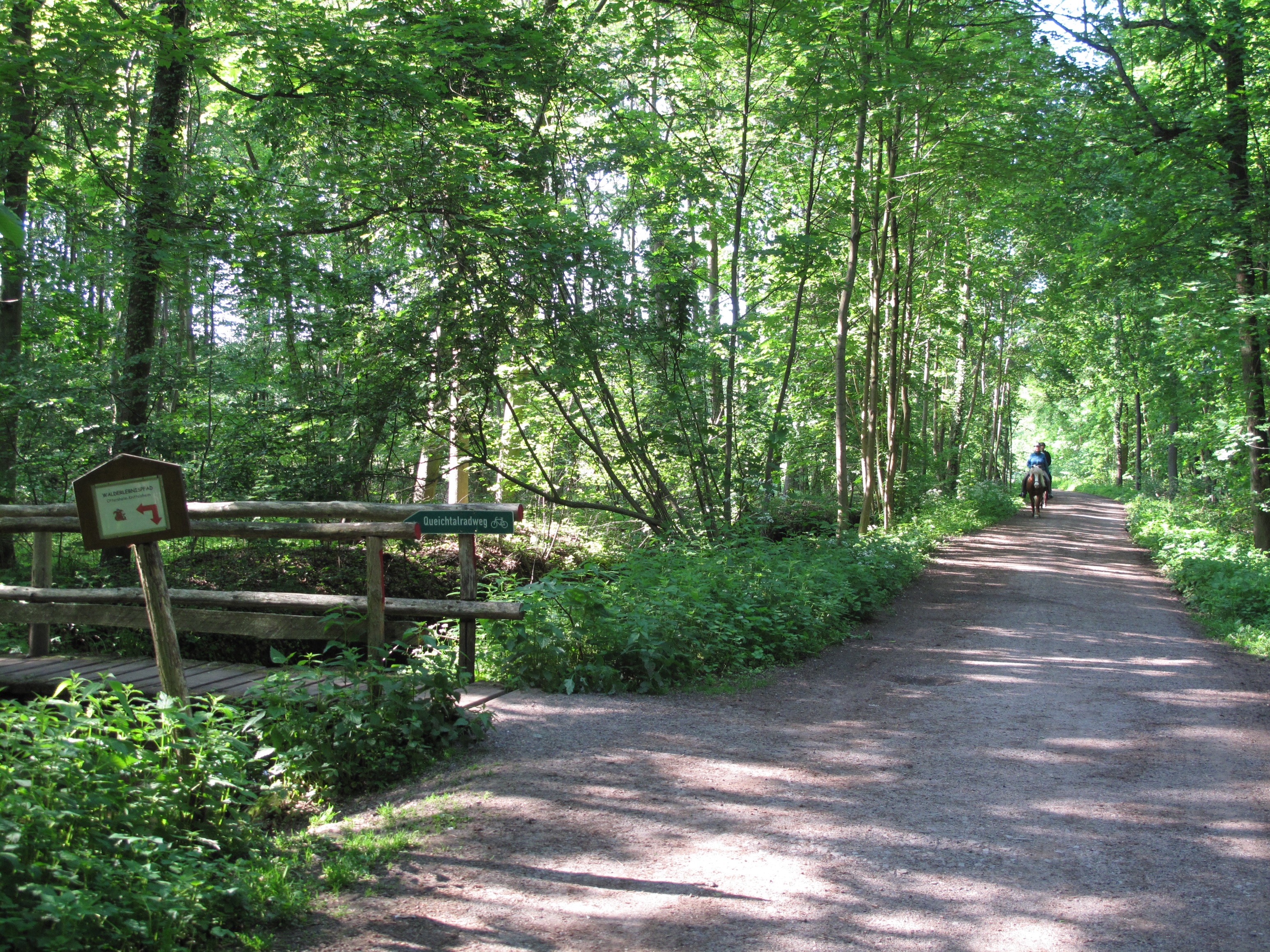Wald- und Radwege im Bellheimer Wald